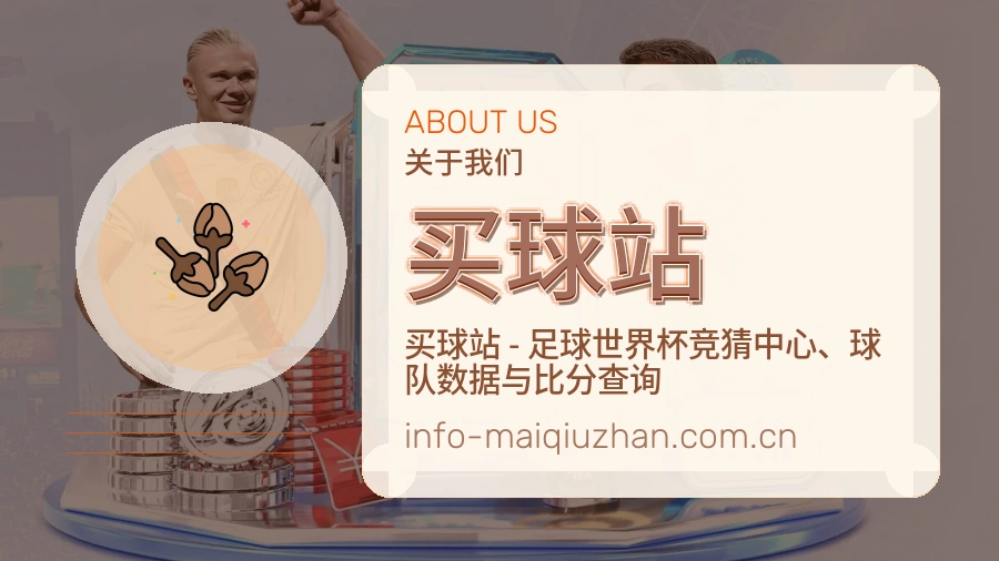 关于 买球站 团队与服务介绍